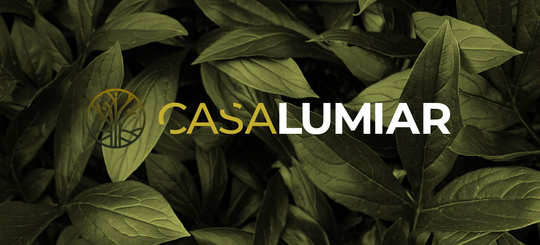 casa-lumiar-folhagem casa-lumiar-folhagem