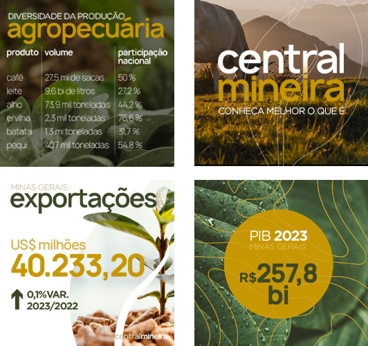 central-mineira-posts-instagram central-mineira-posts-instagram